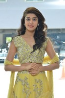 Pranitha at Hello Guru Prema Kosame Movie Success Meet